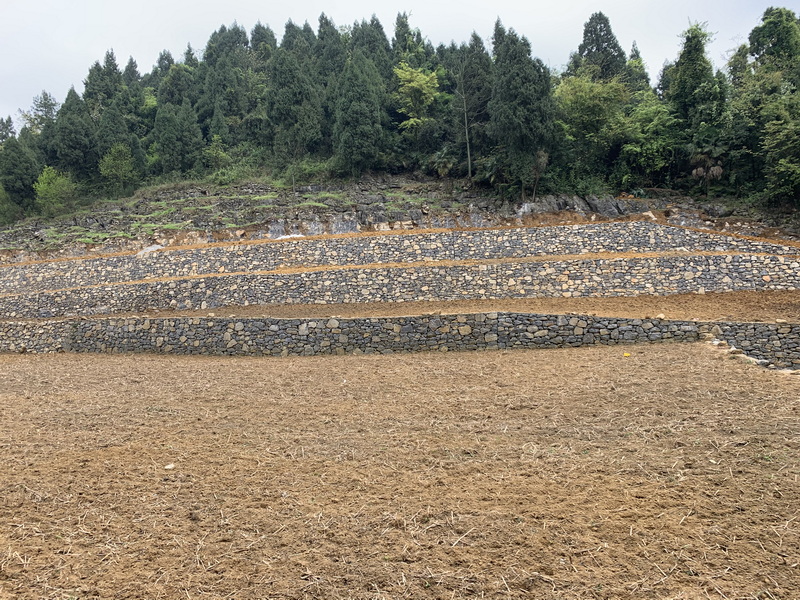 文本框:   